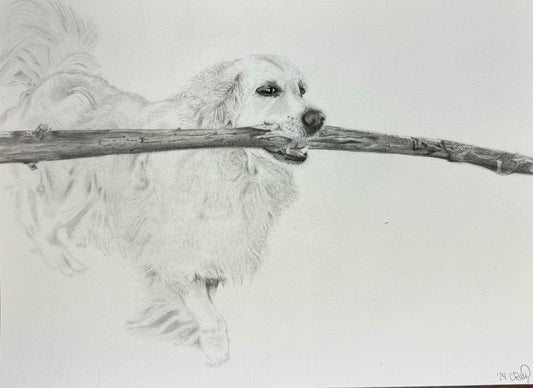 11x14 Custom Graphite Pet Portrait