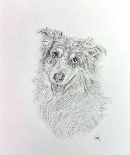 10x8 Custom Graphite Pet Portrait