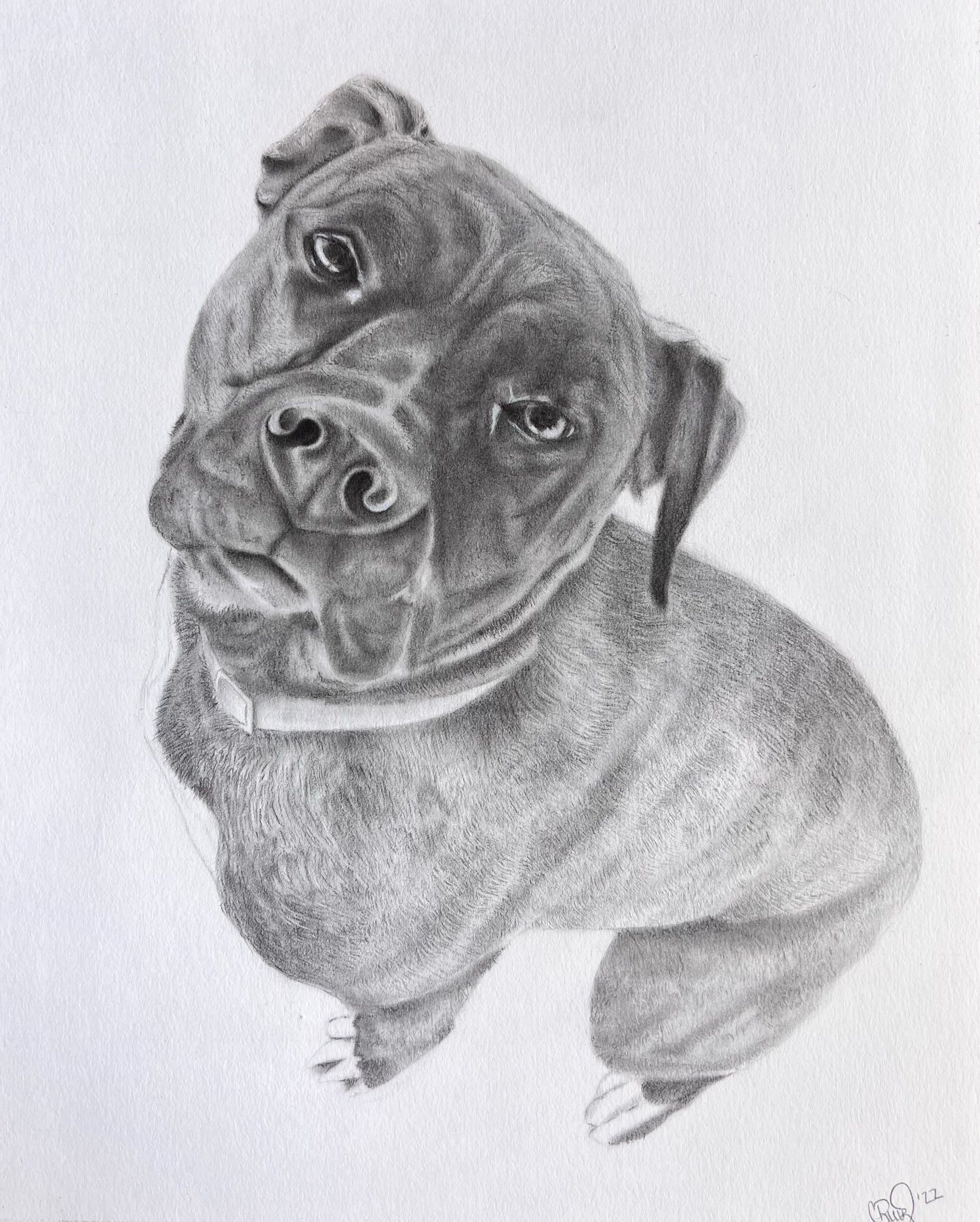 11x14 Custom Graphite Pet Portrait